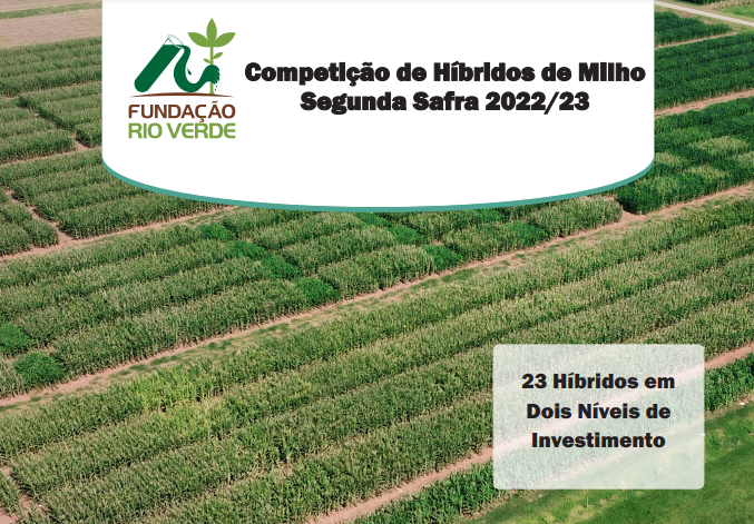 Competição de Híbridos de Milho Segunda Safra 2022/23