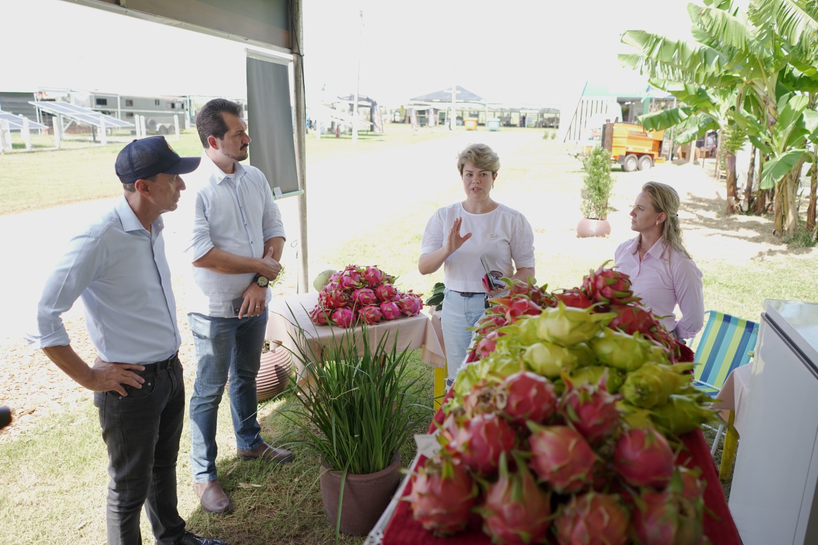 Show Safra 2023: iniciativa amplia exposição e comercialização de produtos da agricultura familiar