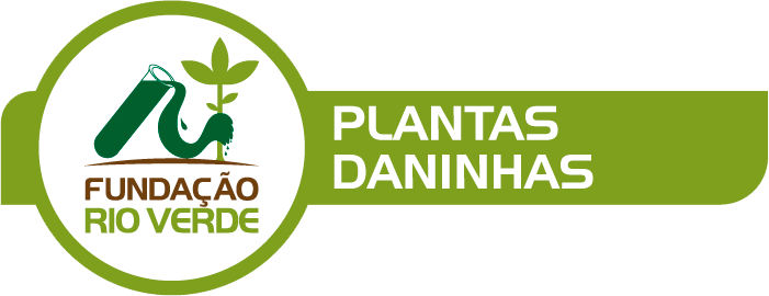 Plantas Daninhas