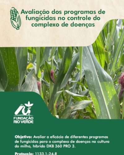 10 - Avaliação dos programas de fungicidas no controle do complexo de doenças