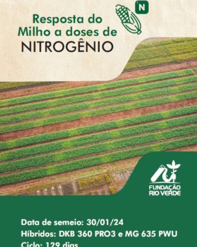 11 - Resposta do Milho a doses de NITROGÊNIO