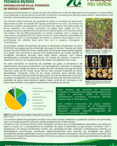 13 - Anomalias em soja- Podridão de grãos e sementes