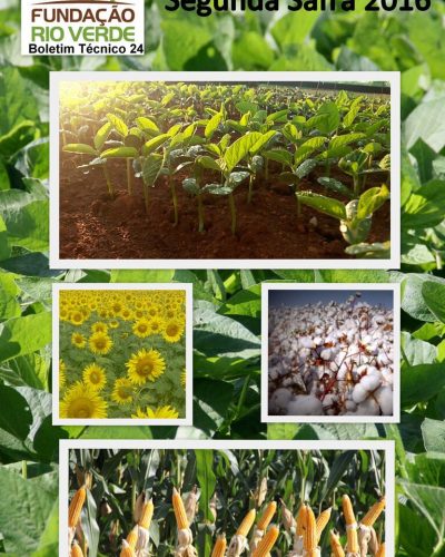 17 - Boletim Técnico 24