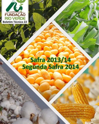 19 - Boletim Técnico 22