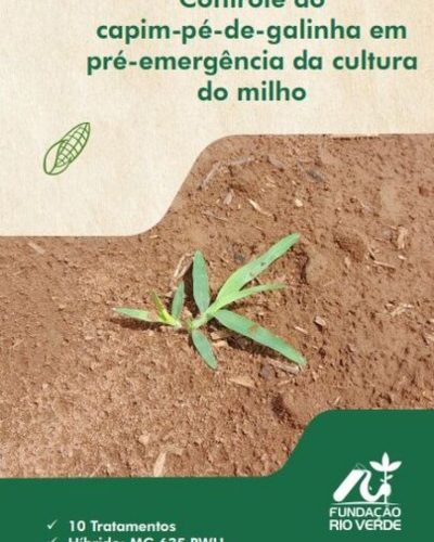 5 - Controle do capim-pé-de-galinha em pré-emergência da cultura do milho