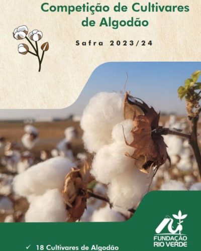 6 - Competição de Cultivares de Algodão - Safra 2023 : 24