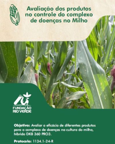 7 - Avaliação dos produtos no controle do complexo de doenças no Milho