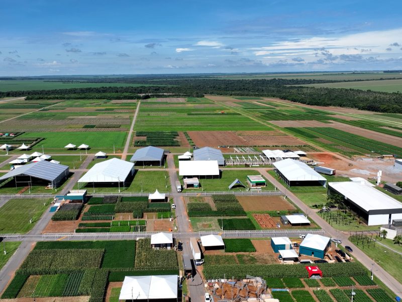 Aumenta o ritmo na montagem de estandes do Show Safra