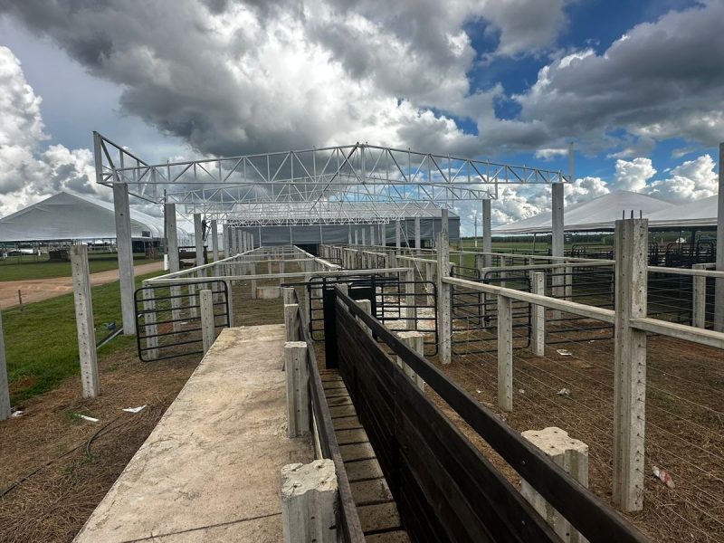 Com ampliação do pavilhão, Show Safra Pecuária prevê aumento nos negócios