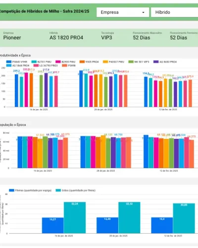 Competição de Híbridos de Milho - Safra 2024:25