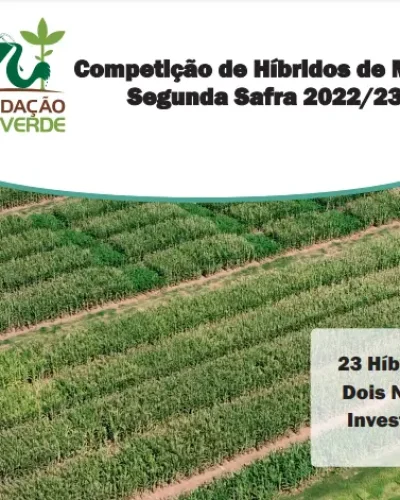 Competição de Híbridos de Milho Segunda Safra 2022_23