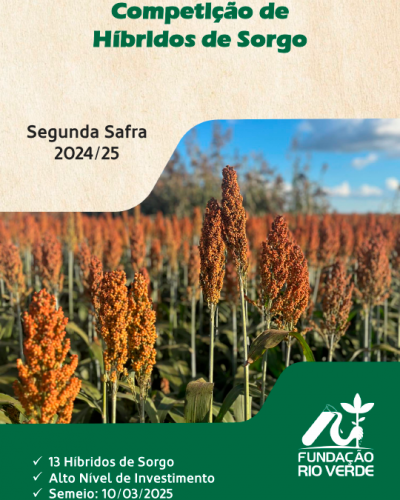 Competição de Híbridos de Sorgo