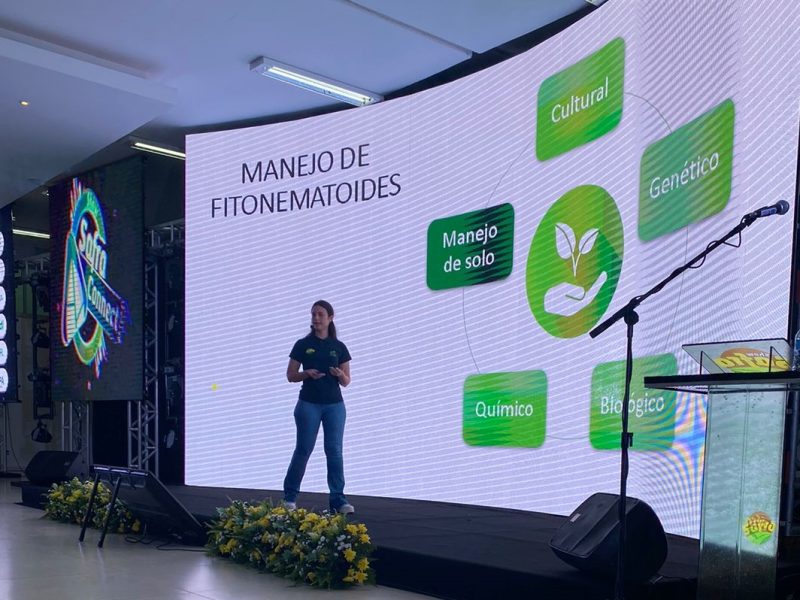 Debate sobre os desafios e oportunidades do algodão abre programação de palestras no Show Safra 2023