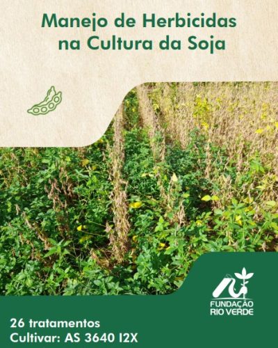 Imagem do WhatsApp de 2025-07-29 à(s) 10.05.40_c7831faa