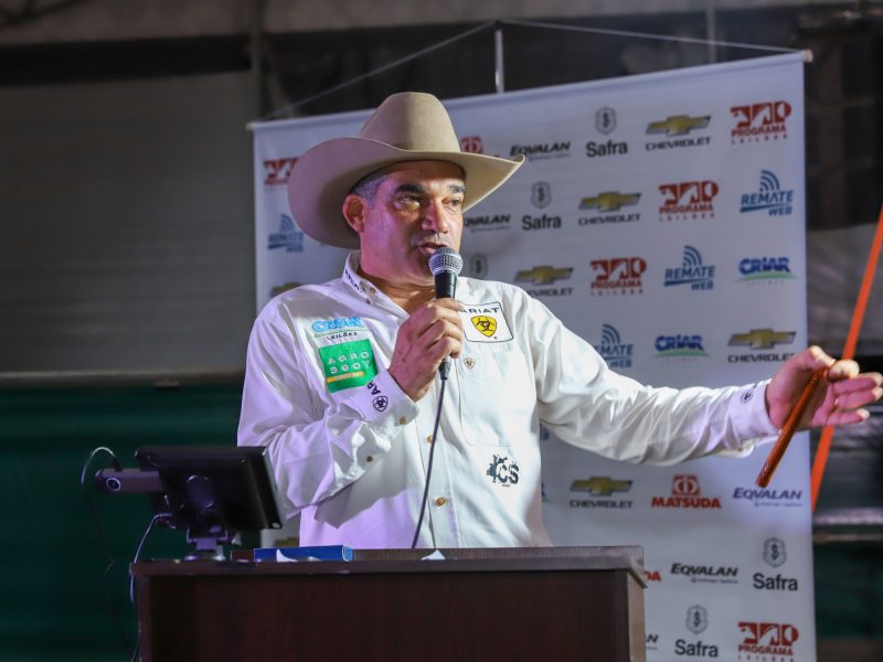 Leilão de cavalos quarto de milha fecha programação do Show Safra Pecuária