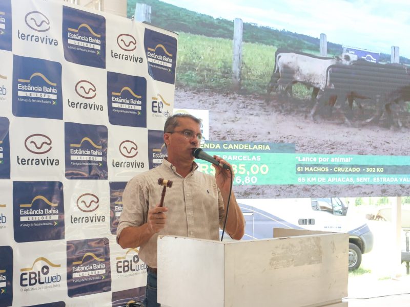 Leilão virtual comercializa cerca de 2 mil animais no Show Safra Pecuária