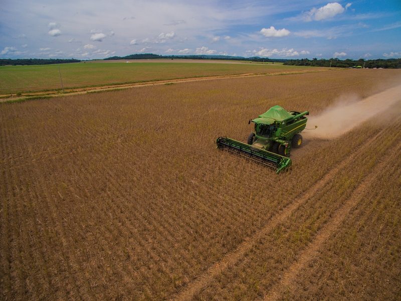 Manejo integrado se destaca como fator principal no combate ao percevejo e mosca branca