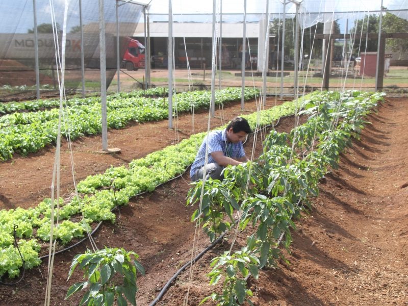 Palestras para a Agricultura Familiar e do ministro do TCU encerram o Show Safra 2019