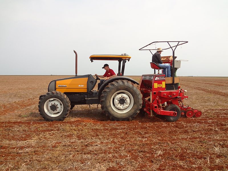 Palestras técnicas do segundo dia abordam Avicultura e cultivar do milho