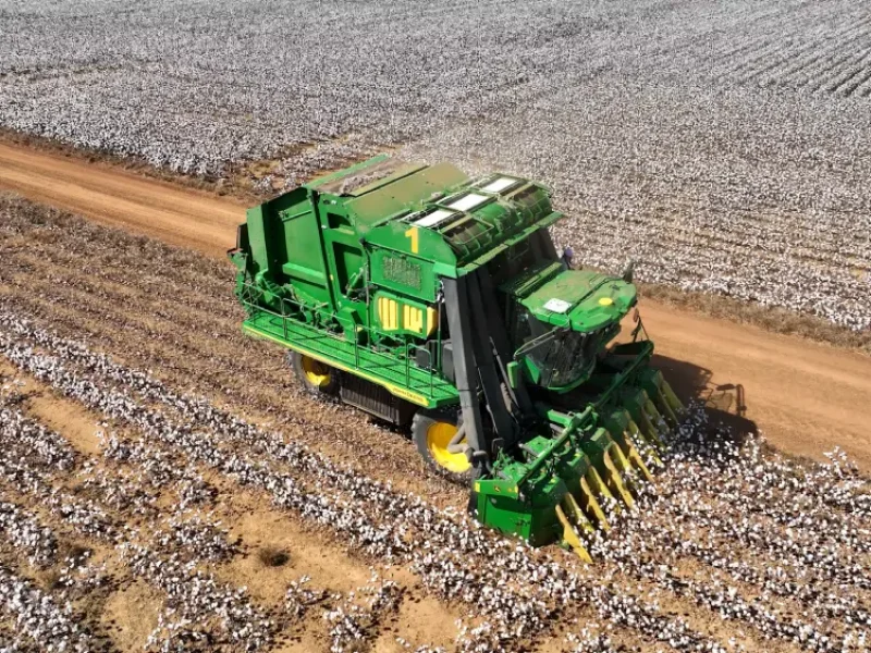 Preço do algodão no mercado anima produtores em meio a colheita