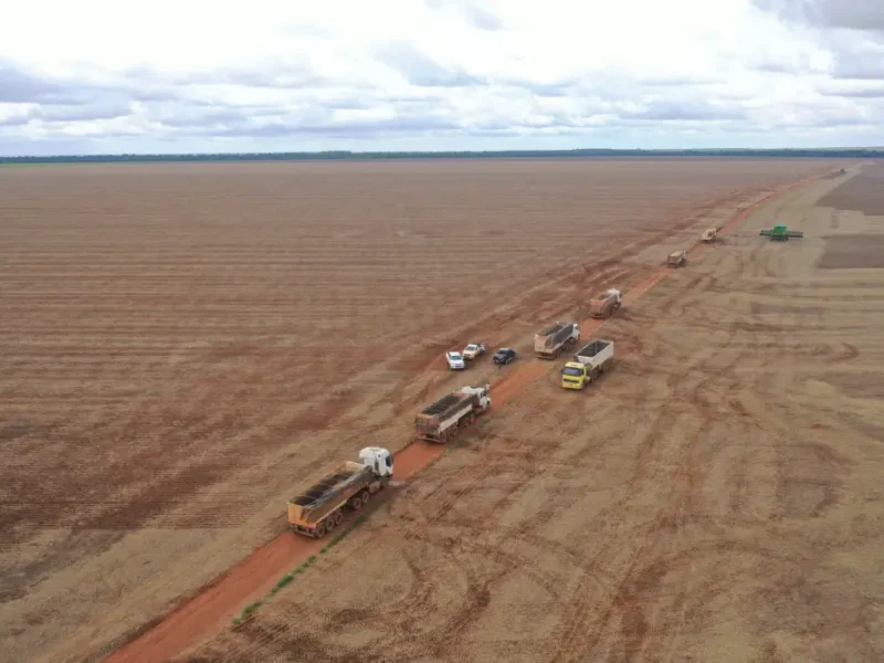 Produtores seguem a todo vapor nos preparativos para o plantio da soja