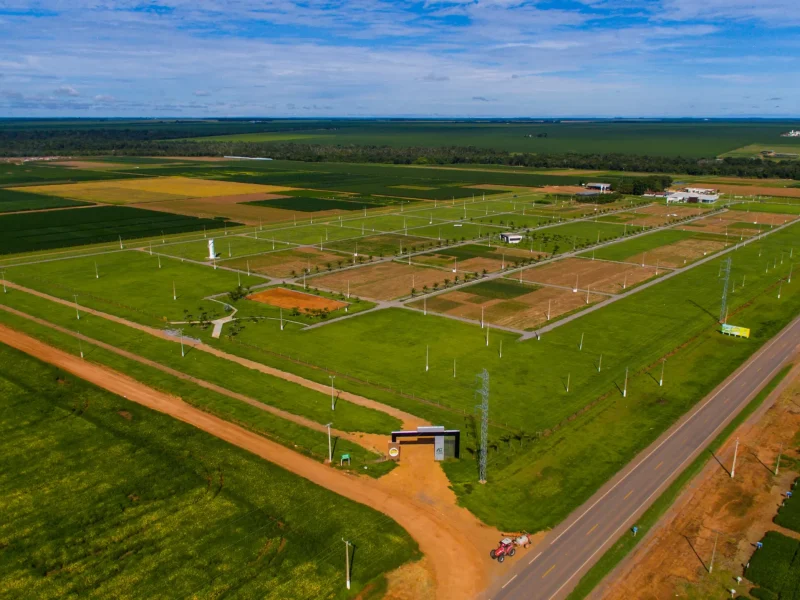 SHOW SAFRA BR 163 Lotes demonstrativos evidenciam tecnologia aplicada nas principais commodities agrícolas de MT