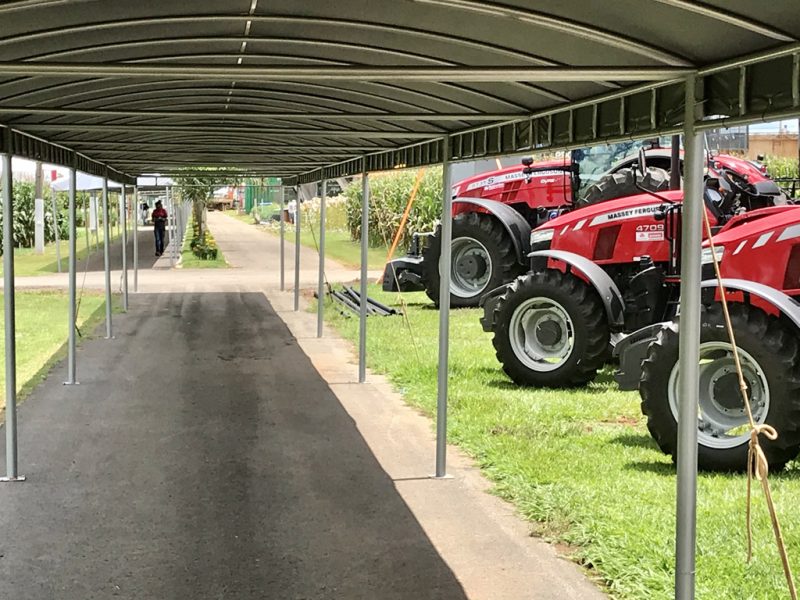 Show Safra 20201 (4)