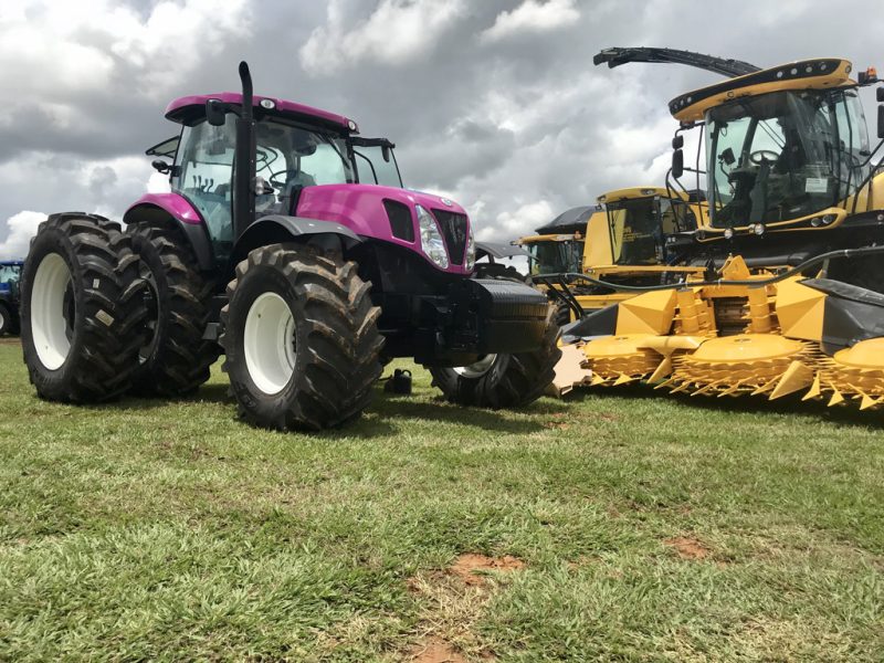 Show Safra 20201 (7)