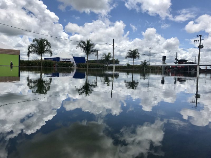 Show Safra 20201 (8)