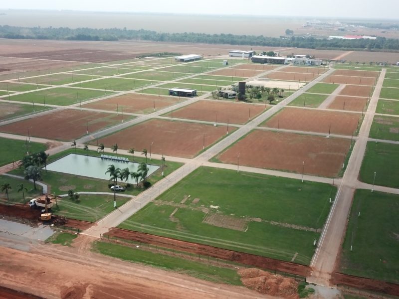 Show Safra 2025 promete inovações tecnológicas e espaço para o Show Safra Mulher