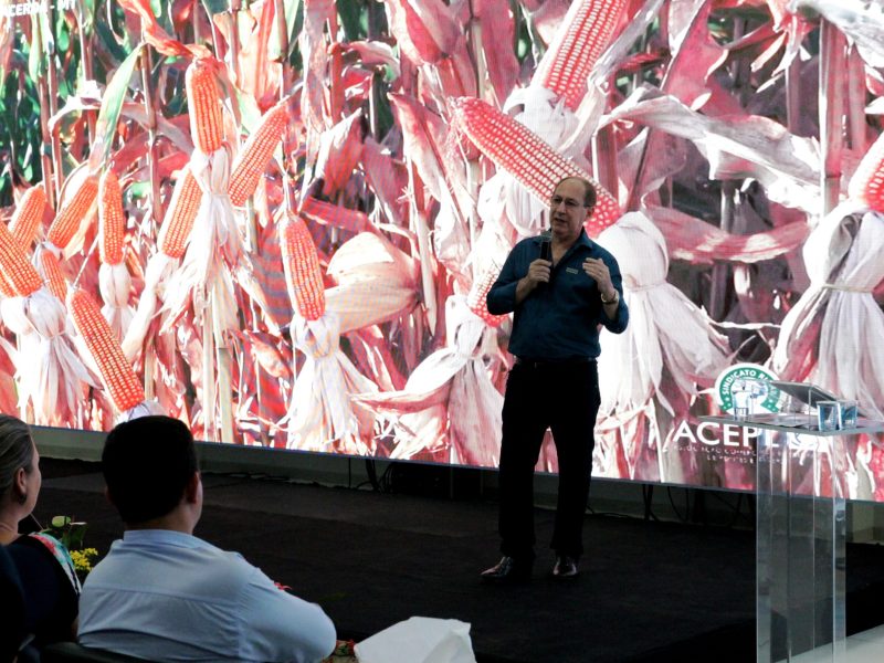 Show Safra Pequenos municípios grandes potencialidades