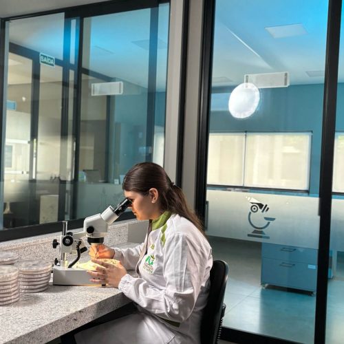 fundacao-rio-verde-10