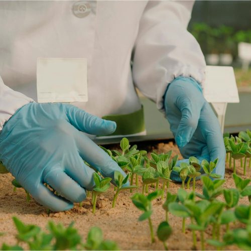 fundacao-rio-verde-12