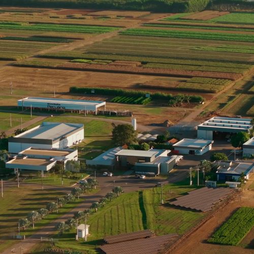 fundacao-rio-verde-18