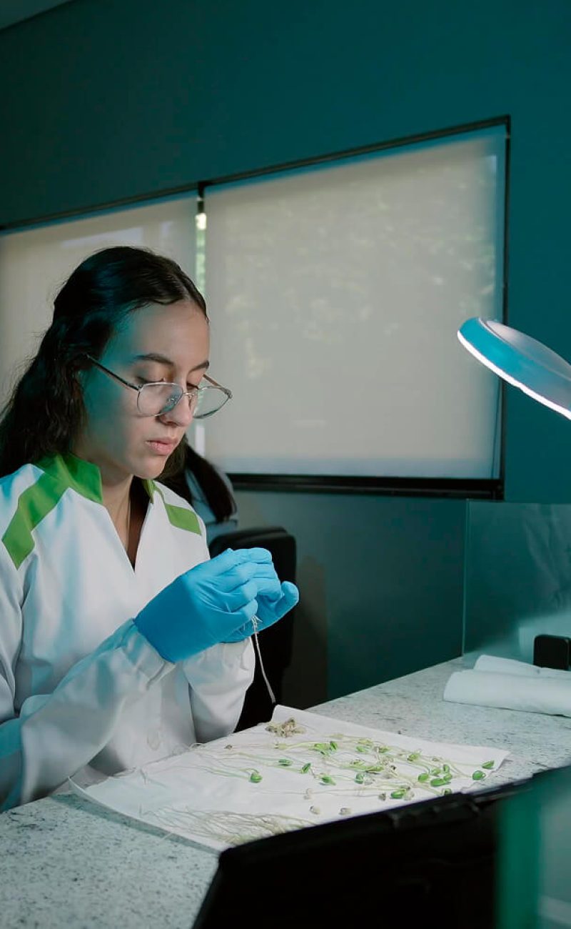 fundacao-rio-verde-19