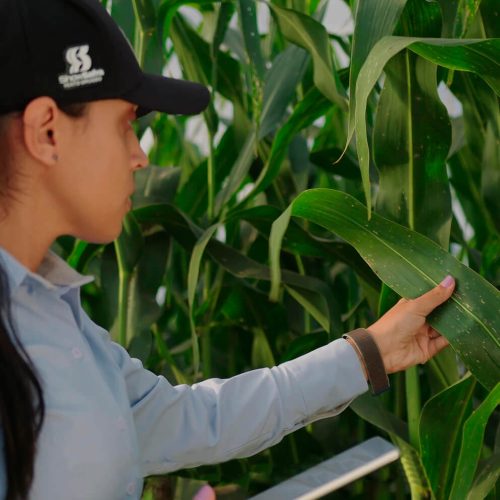 fundacao-rio-verde-23