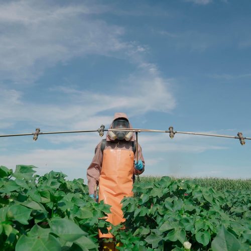 fundacao-rio-verde-28