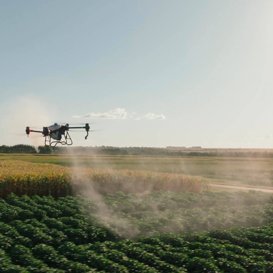 fundacao-rio-verde-30