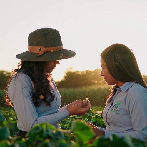 fundacao-rio-verde-36