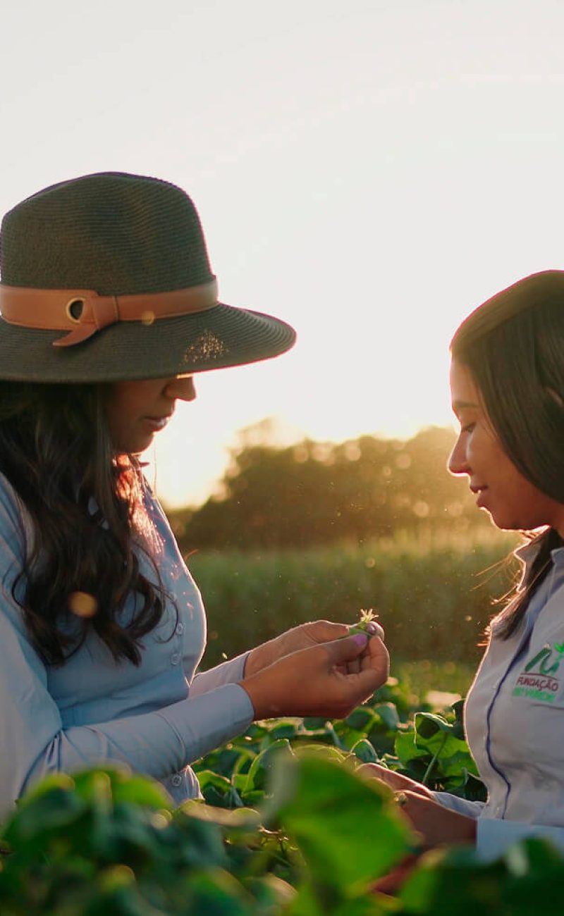 fundacao-rio-verde-36