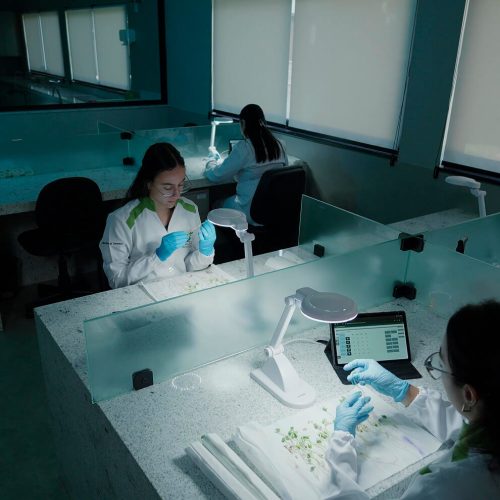 fundacao-rio-verde-38