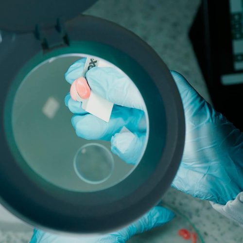 fundacao-rio-verde-40