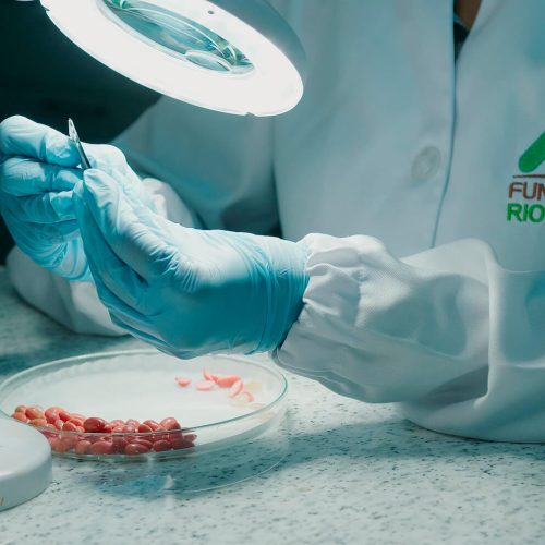 fundacao-rio-verde-46