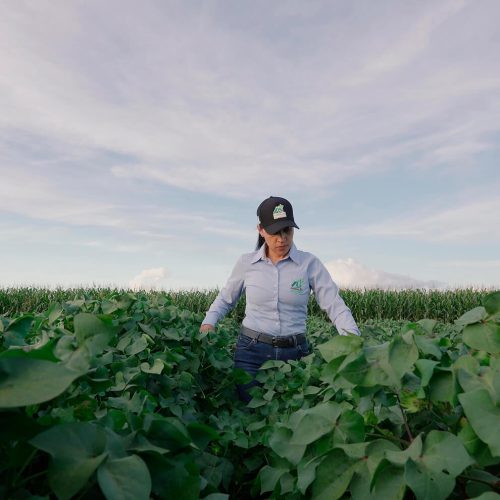 fundacao-rio-verde-48