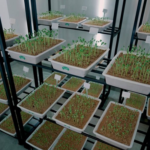 fundacao-rio-verde-64